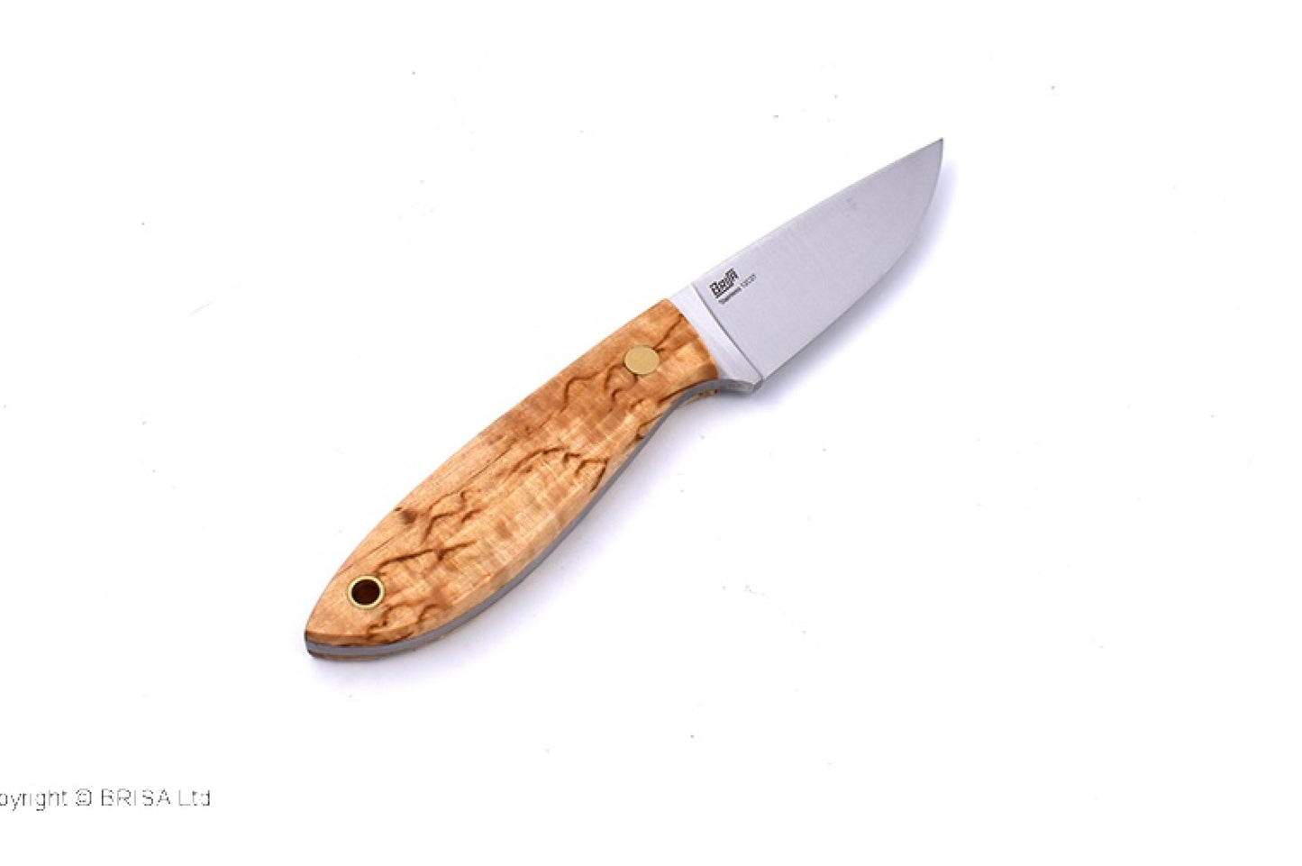 (ID18166)