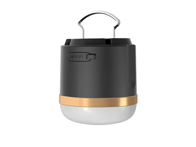 EcoFlow Lampe de camping