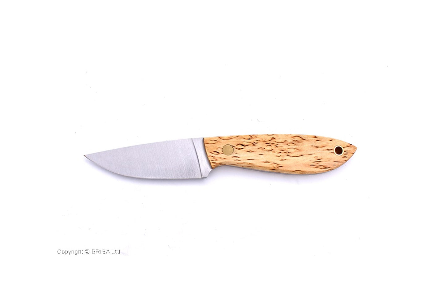 (ID18168)