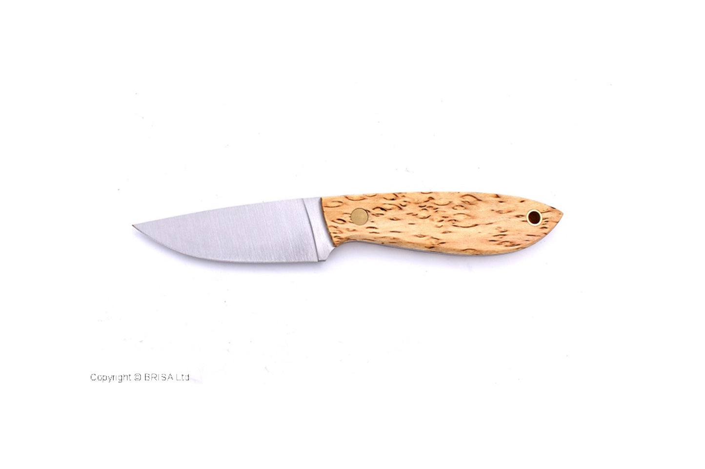 (ID18165)